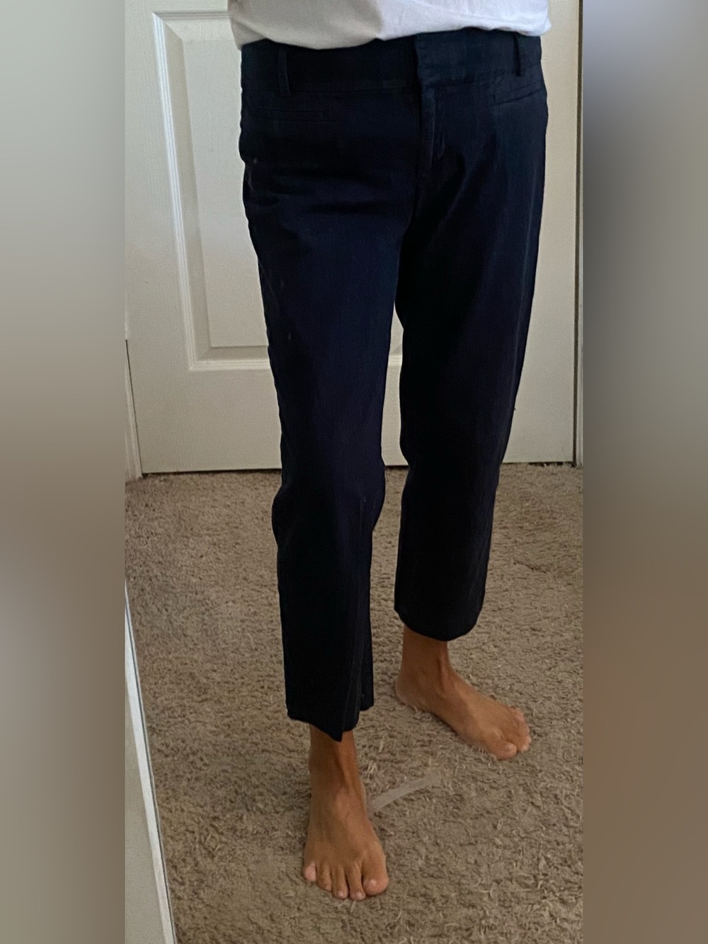 LOFT crop pants
